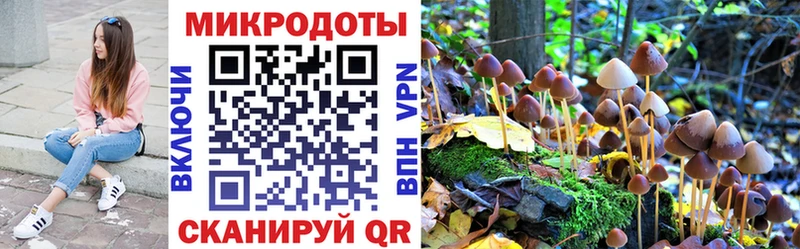 площадка официальный сайт Гвардейск ОМГ ОМГ ссылки Галлюциногенные грибы прущие грибы цена наркотик